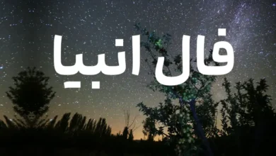 فال انبیا الهی
