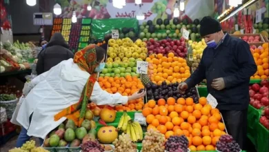میوه تره بار (1)