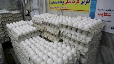 قیمت تخم مرغ