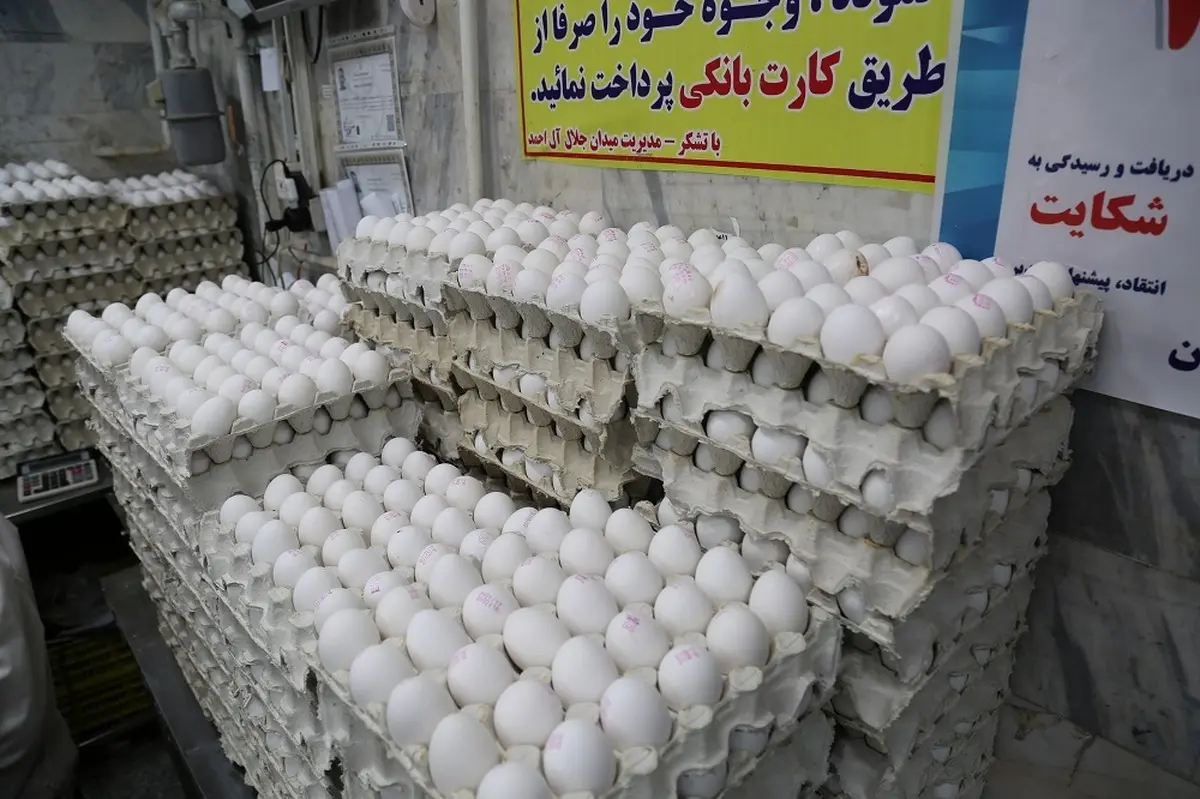 قیمت تخم مرغ